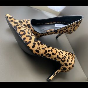 Steve Madden woman heels leopard